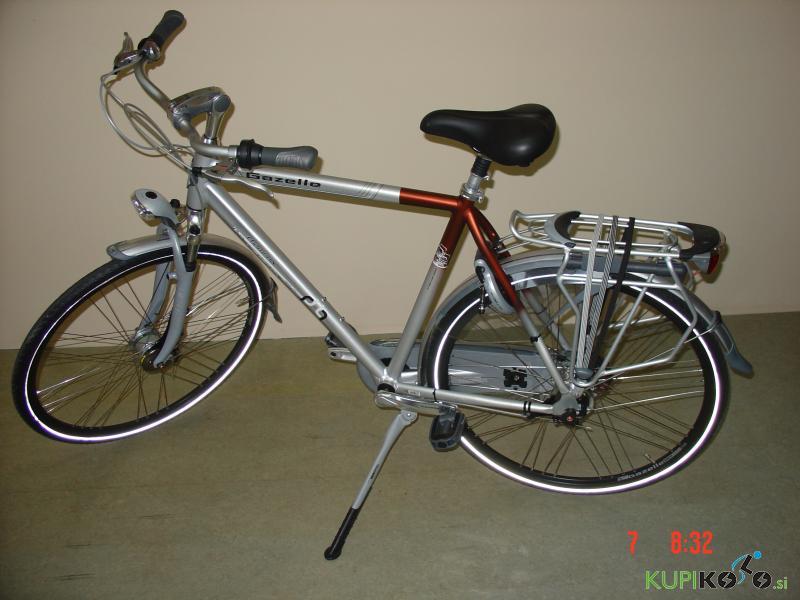 Gazelle CHAMONIX PLUS , moško