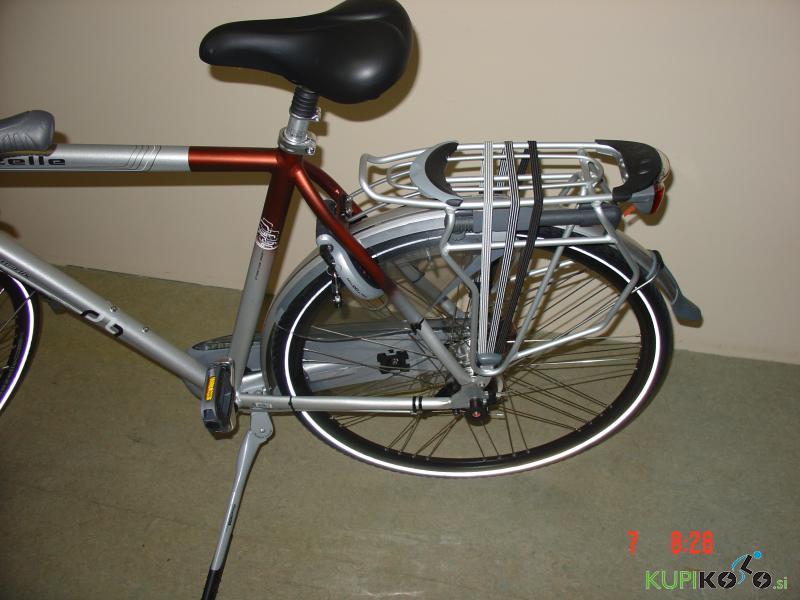 Gazelle CHAMONIX PLUS , moško