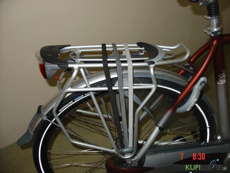 Gazelle CHAMONIX PLUS , moško