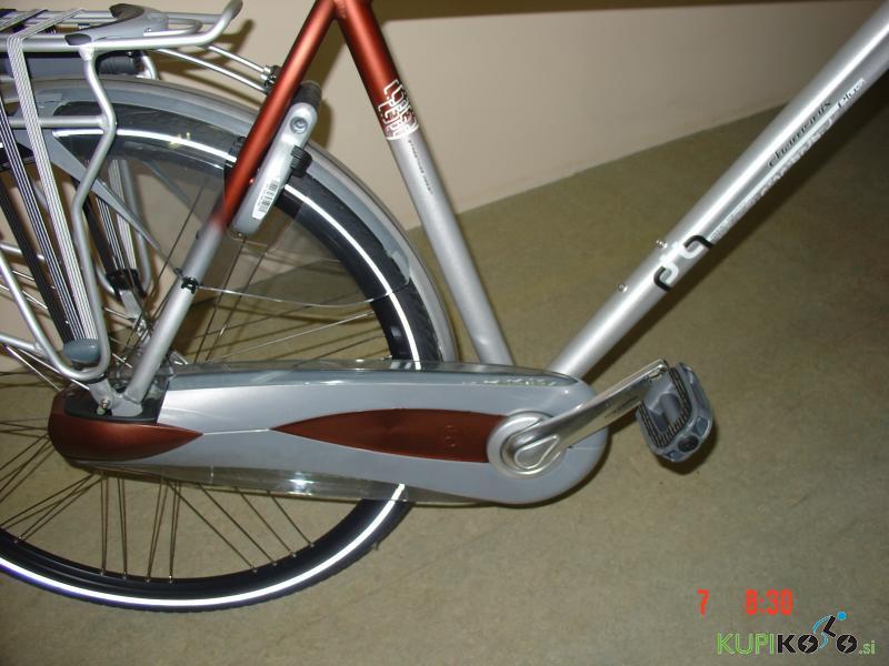 Gazelle CHAMONIX PLUS , moško