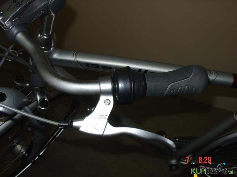 Gazelle CHAMONIX PLUS , moško