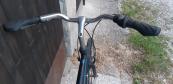 BOtlTTECCHIA
