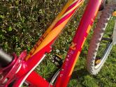Cube Race 240 24 col